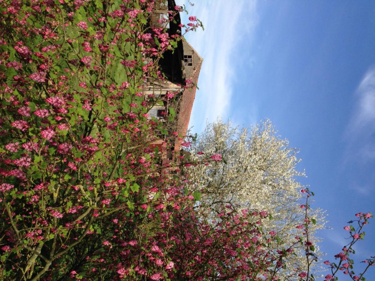 B&B Bekersveld Vlezenbeek ภายนอก รูปภาพ
