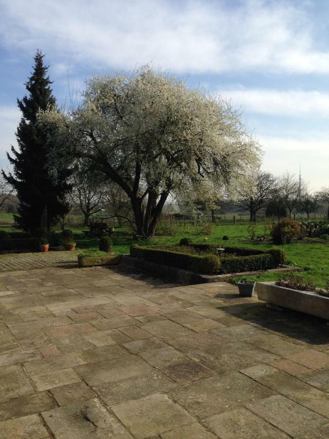 B&B Bekersveld Vlezenbeek ภายนอก รูปภาพ